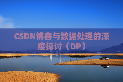 CSDN博客与数据处理的深度探讨（DP）